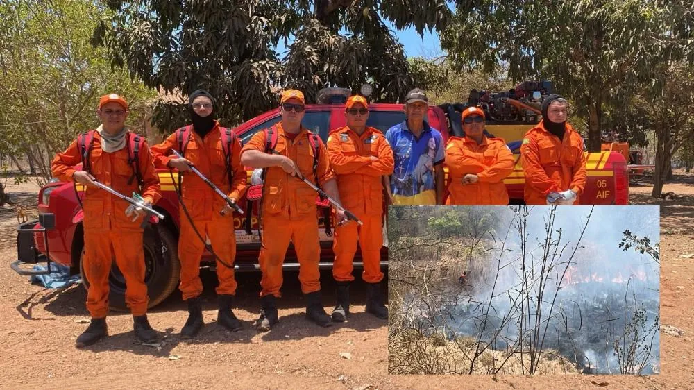 Bombeiros combatem incêndio em vegetação às margens da BR-135, em Corrente